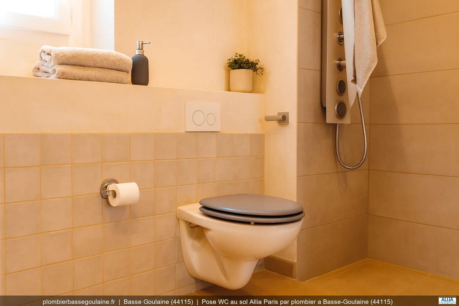 Pose WC au sol Allia Paris par plombier a Basse-Goulaine (44115)