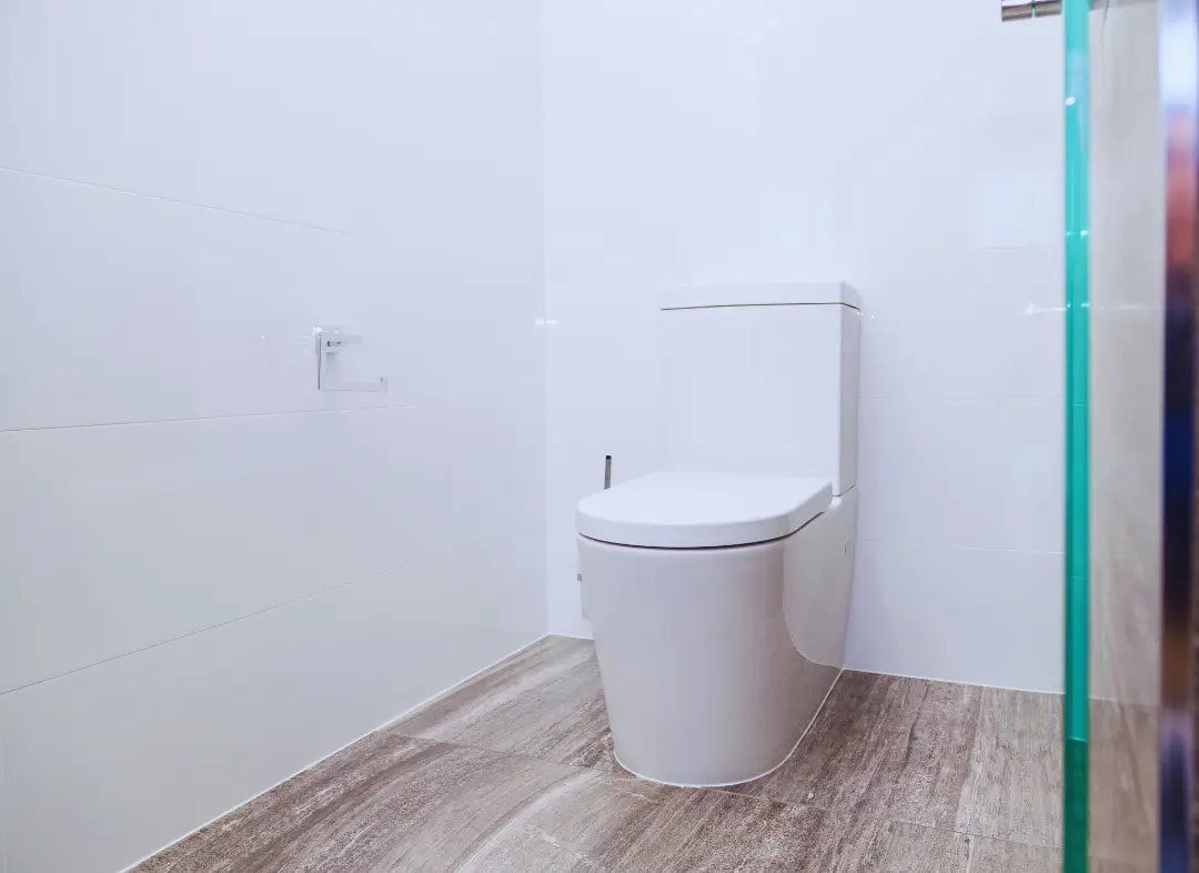 Remplacement de wc Basse-Goulaine