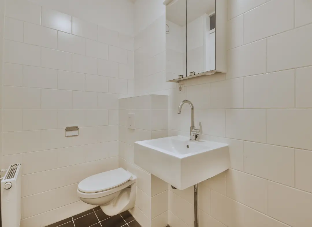 Pose WC Suspendu Basse-Goulaine